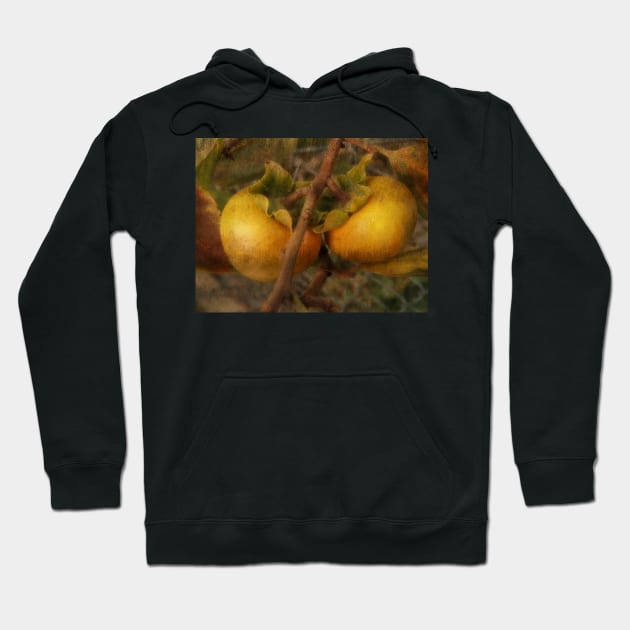 Persimmon Twins Hoodie by AlexaZari